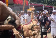 Ogoh-Ogoh Meriahkan Tawur Agung Kesanga di Rampal