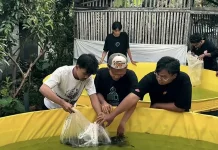 Mahasiswa UMM Kenalkan Budidaya Bioflok, Solusi Lahan Terbatas di Desa Kebobang