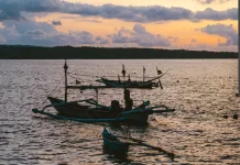 Rayakan Hari Nelayan: Pilih Ikan Segar Berkualitas Tinggi