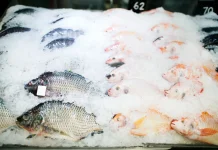 Seafood Beku Tetap Berkualitas jika Diolah Tepat