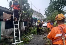 Tiga Rumah  di Kepanjen Malang Rusak Diterjang Angin