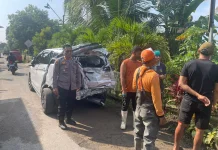 Minibus Tertabrak KA Majapahit di Perlintasan tanpa Palang