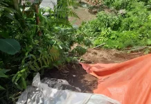 Hujan Deras Picu Longsor di Wajak Kabupaten Malang