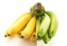 Pisang Hijau vs Pisang Kuning: Mana yang Lebih Baik untuk Serat dan Gula Darah?