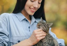 Ciri Kepribadian Pecinta Kucing Lebih Unik dan Cerdas