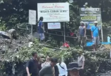Polisi Tangkap Oknum Pungli di Tumpak Sewu Lumajang