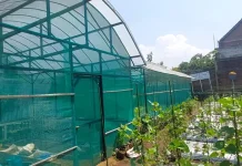 Tantangan Biaya dan Inovasi Warnai Pertanian Organik