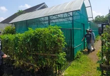 Pertanian Organik Butuh Kesiapan Mental dan Perubahan Pola Pikir Petani