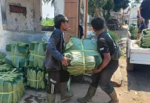 Momentum Harga Plastik Naik, Penjual Daun Pisang Untung