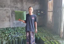 Usaha Daun Pisang Daun Empat Berlian di Jabung Tumbuh Pesat sejak 2019