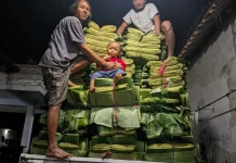 Usaha Daun Pisang Daun Empat Berlian Bidik Pasar Ekspor Singapura
