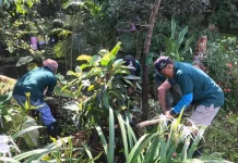 Penanaman Pohon Jaga Sumber Air Batu