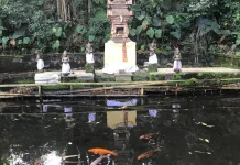 Kisah Sumber Dampul, dari Nyaris Mati hingga Pulih