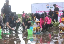 Jaga Ekosistem Pesisir, Polres Probolinggo Kota Tanam Mangrove di Pantai Permata