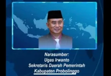 Seluruh ASN tanpa Terkecuali Diimbau Tak Gunakan LPG Subsidi