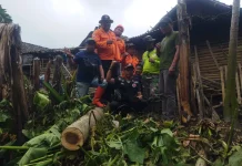 Pohon Tumbang Rusak Rumah Warga di Poncokusumo