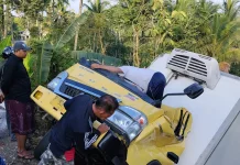 Mobil Box Terguling di Tlogosari Tirtoyudo Malang, Sopir Selamat meski Alami Syok