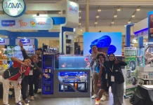 Perairan Stabil, Dari Hobi Ikan Predator hingga Jasa Setup Aquarium Profesional