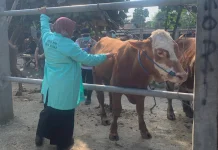 Cegah Penularan Penyakit, Panitia Kurban Diimbau Jaga Kebersihan