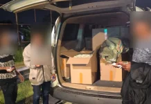Bea Cukai Sergap Ratusan Ribu Batang Rokok Ilegal di Tol Pandaan–Malang