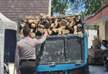 Polisi Bongkar Dugaan Pembalakan Hutan di Malang Selatan