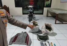 Polisi Amankan Dua Pencuri Jeruk di Malang