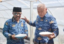 Garam Tunnel Sumberoto Donomulyo Malang Capai 8 Ton per Bulan, Omzet Rp20 Juta