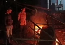 Polres Malang Tertibkan Dugaan Arena Judi Sabung Ayam di Sumawe