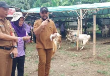 Pemkot Batu Sidak Hewan Kurban jelang Iduladha 1447 Hijriah