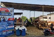 Dispangtan Periksa 87 Lapak Hewan Kurban, 3.155 Ekor Ternak Dinyatakan Sehat