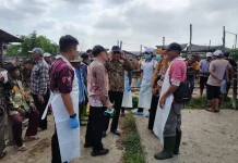 Kabupaten Malang Surplus Hewan Kurban