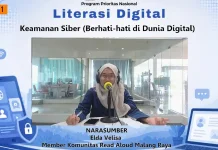 Literasi Digital Rendah Picu Penipuan Online