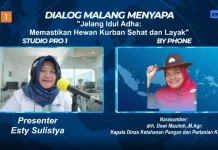 RPH Kota Blitar Kebanjiran Pendaftar Kurban, 110 Sapi Terjadwal saat Iduladha