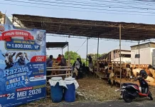 Inovasi Kurban “Anti Ribet”, dari Pilih Hewan hingga Distribusi Daging
