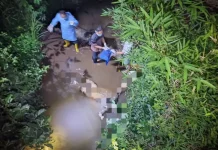 Warga Selorejo Ditemukan Meninggal, Diduga Terjatuh dari Jembatan