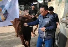 Rayakan Iduladha, PLN UP3 Malang Bagikan 1.061 Paket Daging Kurban