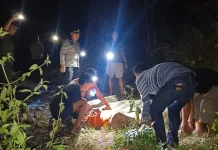 Terjebak Asap Pembakaran Daun Tebu Kering, Petani Tebu Blitar Meninggal