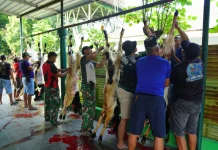 Idul Adha di Divif 2 Kostrad, Momentum Perkuat Keikhlasan dan Pengabdian Prajurit