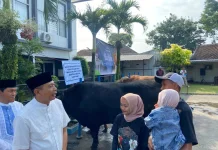 Sapi Kurban Bantuan Presiden Diserahkan ke Masjid Sabilillah