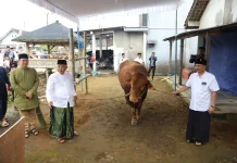 Warga Ngantang Malang Dapat Sapi Kurban 1 Ton