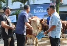 Polresta Malang Kota Siapkan 13 Sapi dan 27 Kambing Kurban untuk Masyarakat