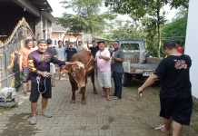 Makna Haji Jadi Spirit Perbaikan Diri di Idul Adha 1447 Hijriah