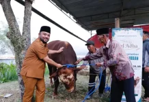 Iduladha 1447 Hijriah, Pemkot Batu Fokus Pemerataan Kurban