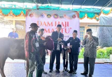 PDM Kota Malang Kelola Pemotongan Dam Jamaah Haji Tamattu' KBIHU RSI Aisyiyah 1447 H