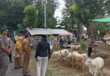 Idul Adha Gerakkan Ekonomi Rp25,3 Miliar di Kabupaten Probolinggo