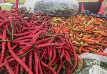 Kenaikan Harga Cabai Merah dan Minyak Goreng Picu Inflasi Kota Malang Mei 2026