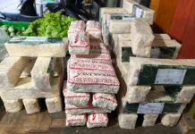 Primkopti: Kedelai Lokal Lebih Gurih, tetapi Produksi Belum Mampu Penuhi Kebutuhan