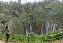 Tumpak Sewu, Pesona Air Terjun Raksasa di Lumajang yang Memikat Wisatawan