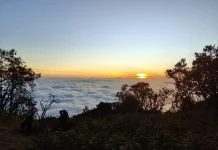 Lereng Gunung Arjuno Sajikan Panorama Sunrise dan Lautan Awan yang Memukau