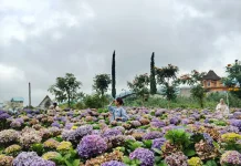 Dusun Kuliner Batu Jadi Buruan Wisatawan saat Liburan